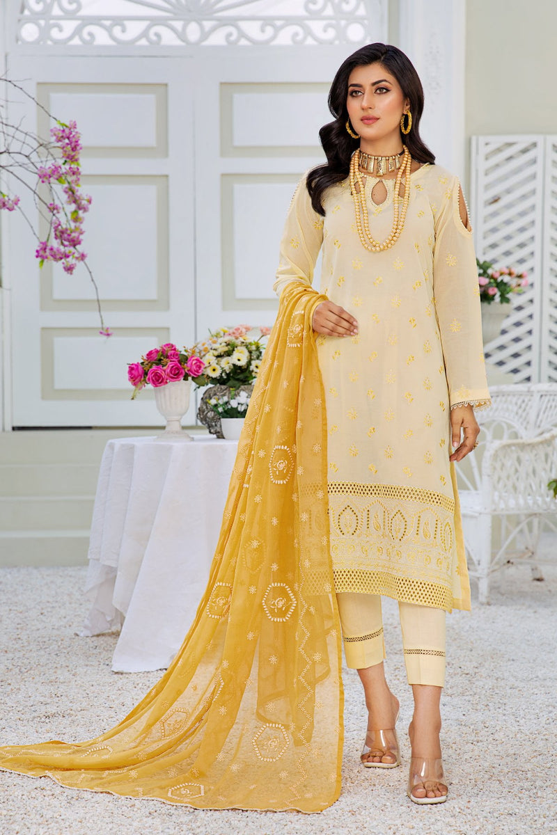 Tehwar TR-02 : Embroidered Swiss Lawn 3PC - Kleren