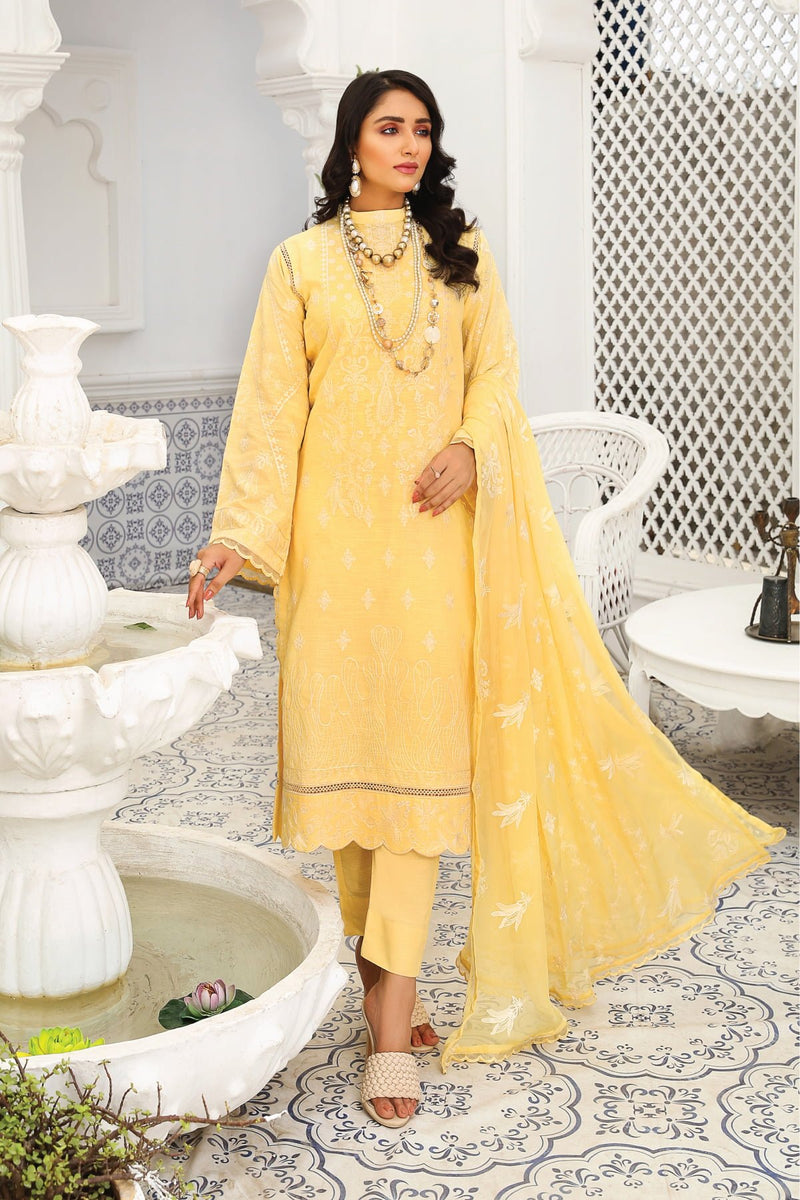 Tehzeeb T-11 : Embroidered Slub Karandi - Kleren